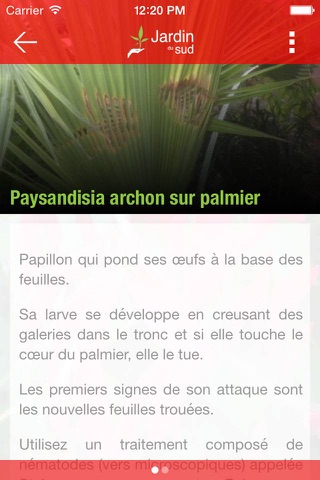 Jardin du Sud screenshot 4