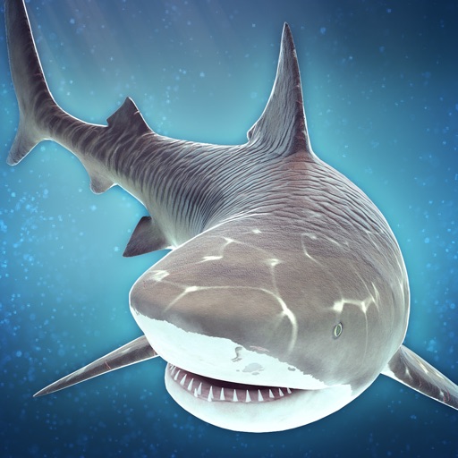 Shark Survival | Great Water World Evolution Game For Free icon