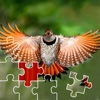 Birds Puzzle Master