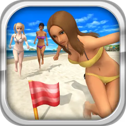 Beach Flag Paradise Cheats