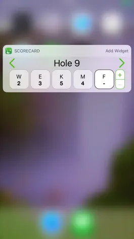 Game screenshot Scorecards for Mini Golf apk