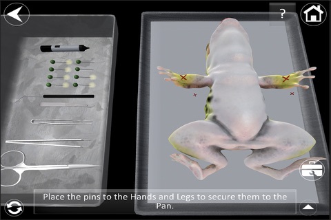 Dissection Lab screenshot 4