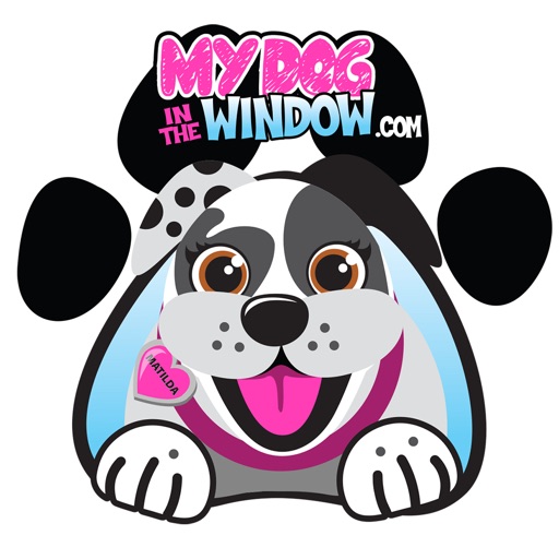 MyDoginTheWindow