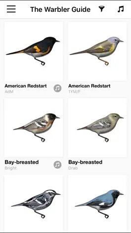 Game screenshot The Warbler Guide apk
