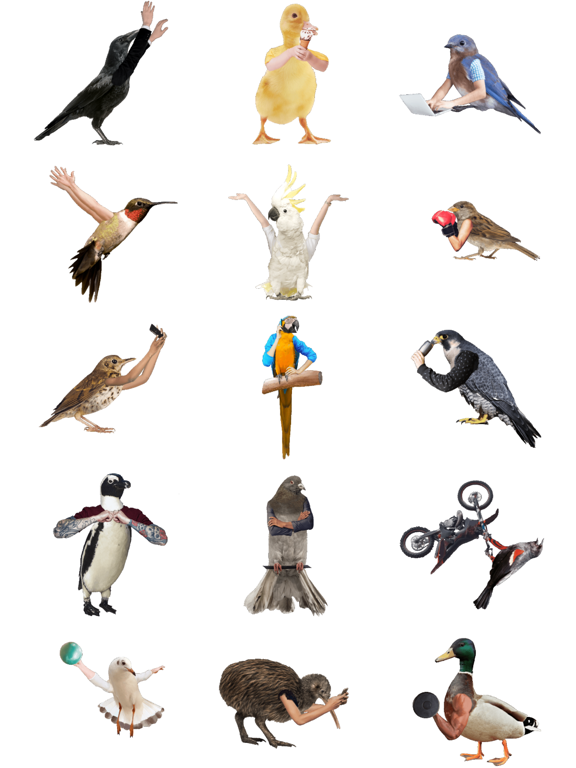 Screenshot #4 pour Birds with Human Arms