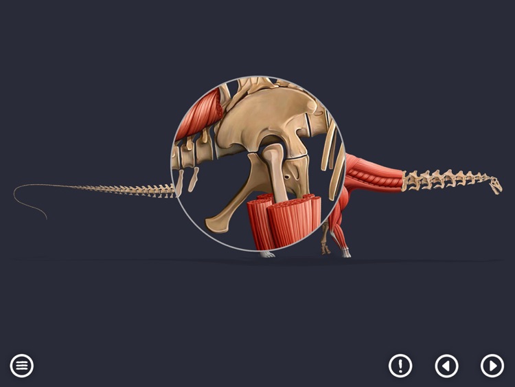 World of Dinosaurs : KIDS screenshot-0