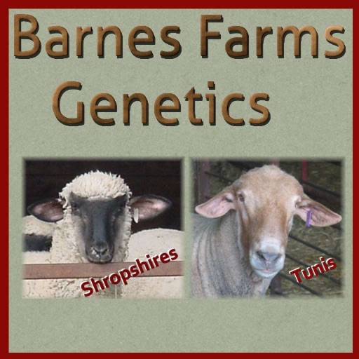 Barnes Farms Genetics icon
