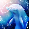 Aquarium Dolphin Simulation Game