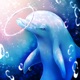 Aquarium Dolphin Simulation Game app icon - Games app for iPhone