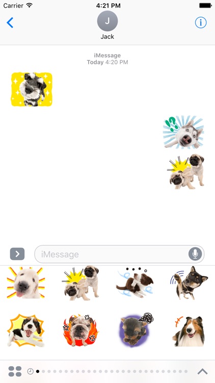 Funny Dogs Stickers