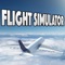 Flight Simulator Pro 2017!