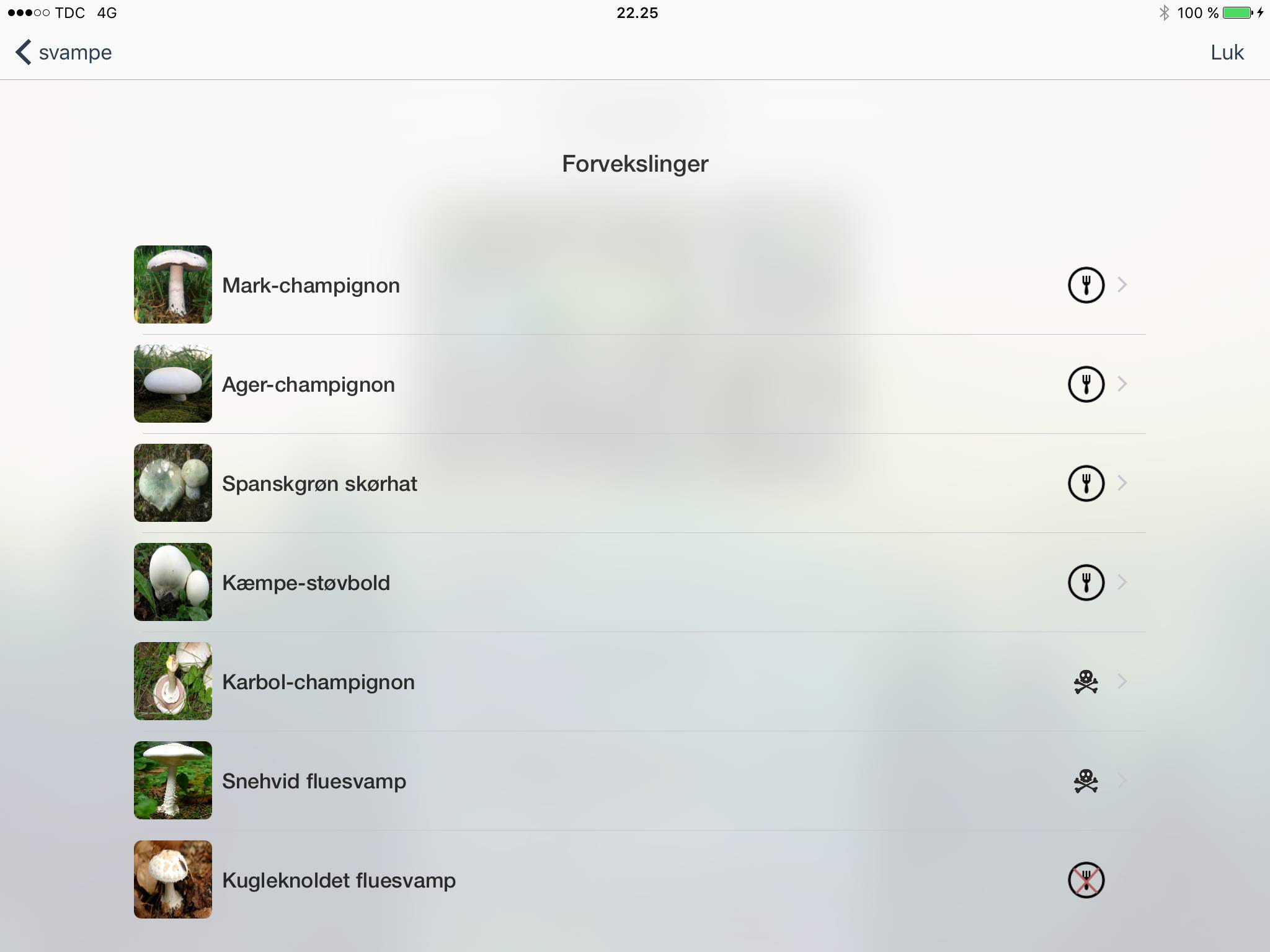 SvampeGuide screenshot 9