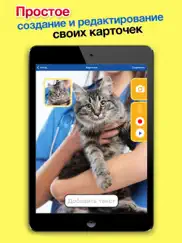 Звуки животных: Развивающие игры для детей малышей айпад изображения 3