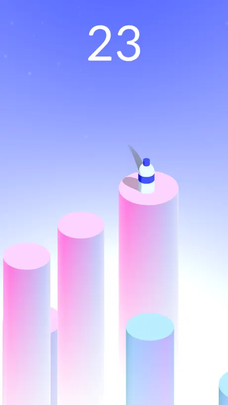 Flip