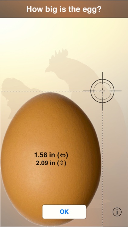 The perfect Egg timer