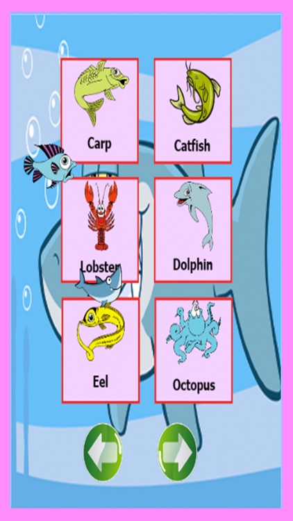 Sea animals english language