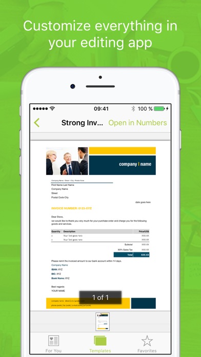Templates for Numbers Professional Screenshot