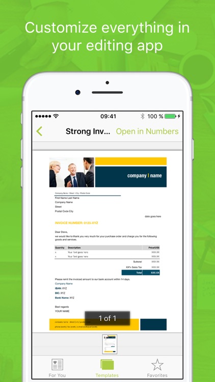 Templates for Numbers Professional