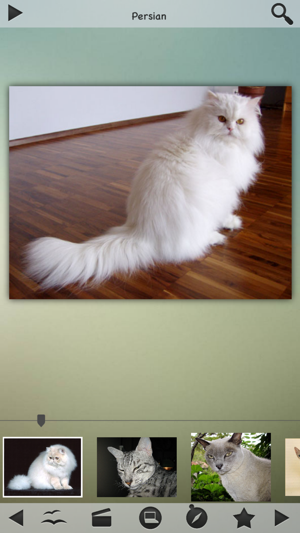 Cats and Dogs Breeds(圖1)-速報App