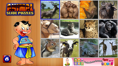 How to cancel & delete Kids Animal Slide Puzzle Ghép Hình Động Vật Cho Bé from iphone & ipad 4