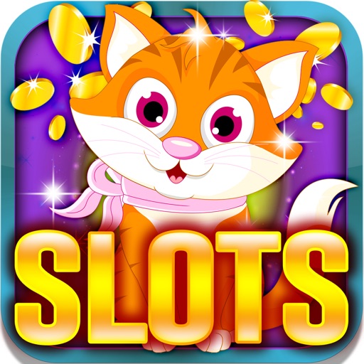Feline Slot Machine: Enjoy yourself and play fabulous cat betting games for daily rewards iOS App