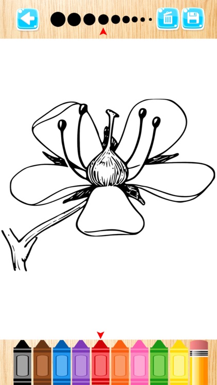 Flower Coloring Books For Kids
