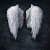 Xin Tan - 天使の羽の壁紙HD：アート写真 アートワーク
