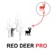 Are you a fallow deer hunter who loves to hunt for fallow deer