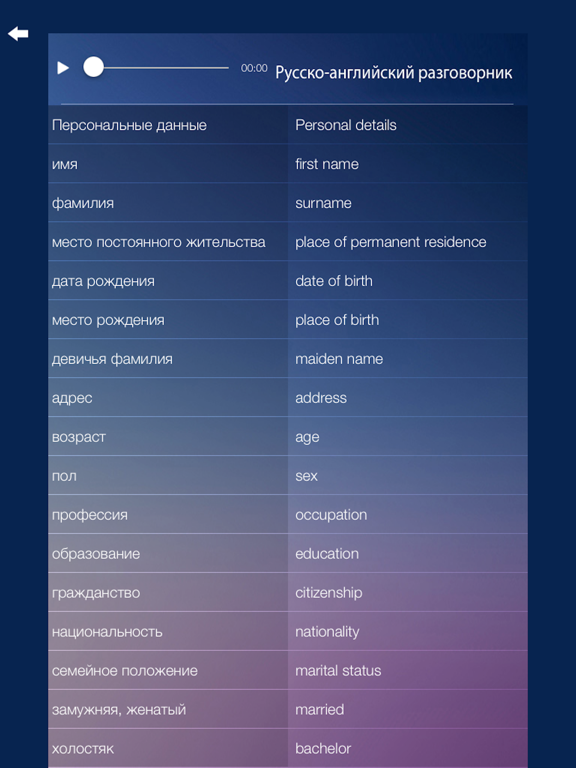 Aнглийский разговорник -изучение aнглийскoго языка iPad screenshot