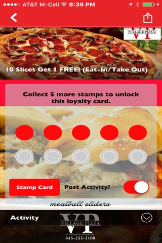 Village Pizza New Paltz screenshot 4