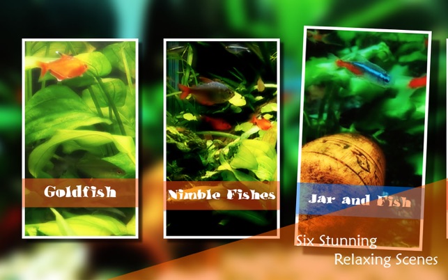 Chill & Relax Aquarium Cay Fish Tank HD Video(圖2)-速報App