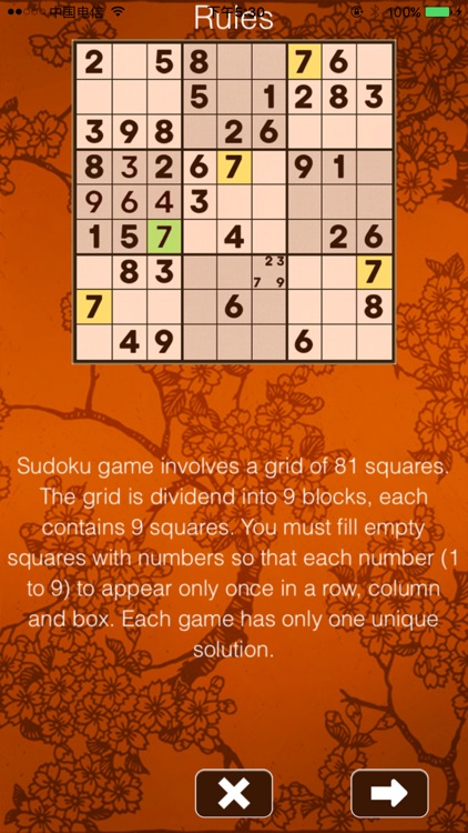 Brain Sudoku