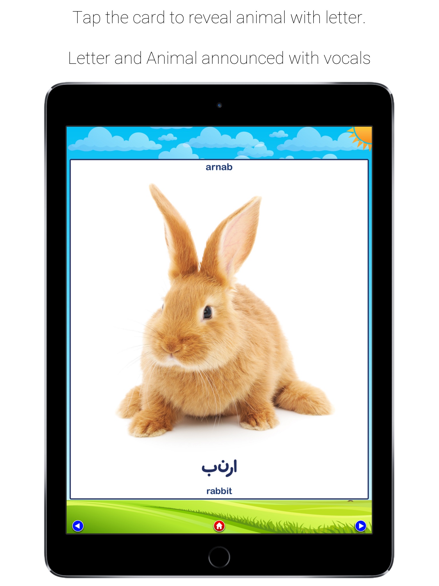 Alif Baa-Arabic Alphabet Letter Learning for Kids screenshot 2