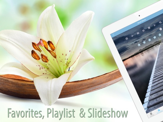 Screenshot #3 for Free Relaxing Nature Scenes to Reduce Stress & Anxiety