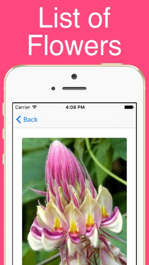 World Flowers!(圖2)-速報App
