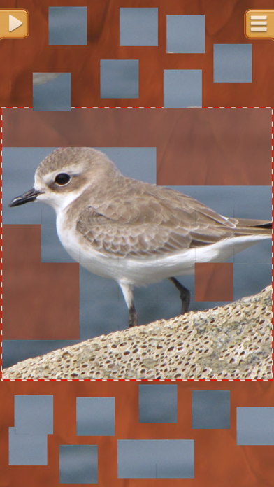 Birds Jigsaw Puzzles - Amazing Logical Game iPhone screenshot