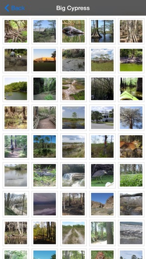 Big Cypress National Preserve(圖5)-速報App