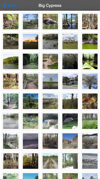 Big Cypress National Preserve screenshot-4