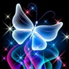 Icon HD Wallpaper : Butterfly