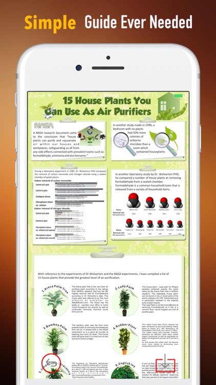 Grow Houseplants Guide-Tips and Beginners