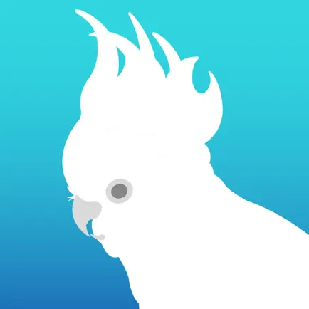 Songtiment Читы