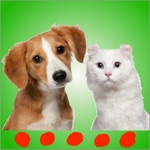 Cat  dog sounds Perfect app for pets and puppies