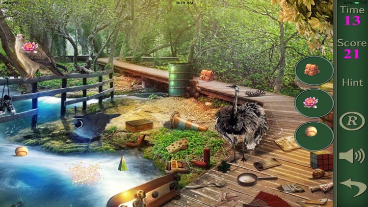 Hidden Objects Of A Guess The Animal