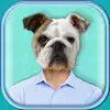 Animal Face Photo Booth with Funny Pet Sticker.s App Positive Reviews