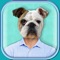 Animal Face Photo Booth with Funny Pet Sticker.s