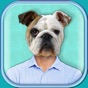 Animal Face Photo Booth with Funny Pet Sticker.s app download