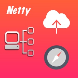 Netty  Network Analyzer