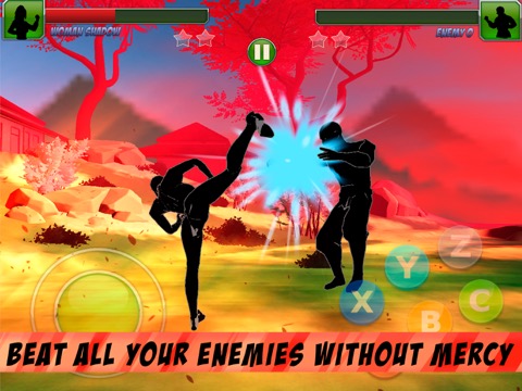 Shadow Kung Fu Fighting 3Dのおすすめ画像4