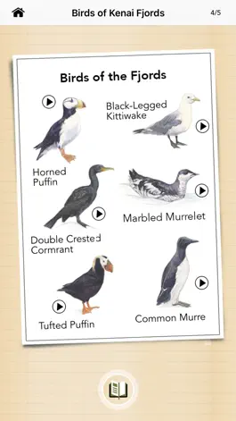 Game screenshot NPS Kenai Fjords hack