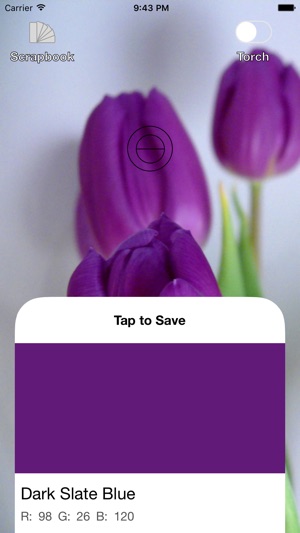 What's That Color?(圖3)-速報App